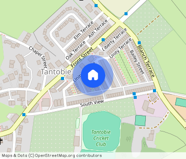 Neale Street, Tantobie, Stanley - Photo 1