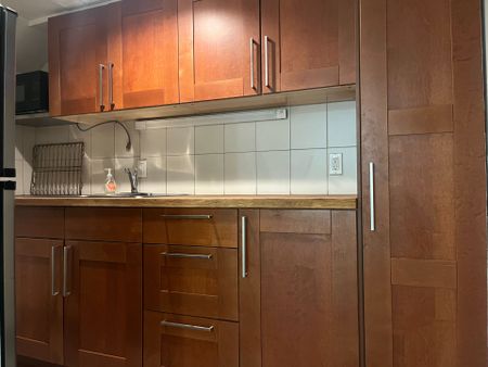 For Lease - 383 Lansdowne Avenue Unit# Bsmt, Toronto, Ontario - Photo 5