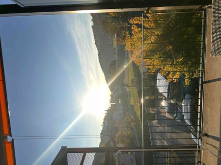 1.5 Zimmer, 52 m², 2. Stock - Foto 4