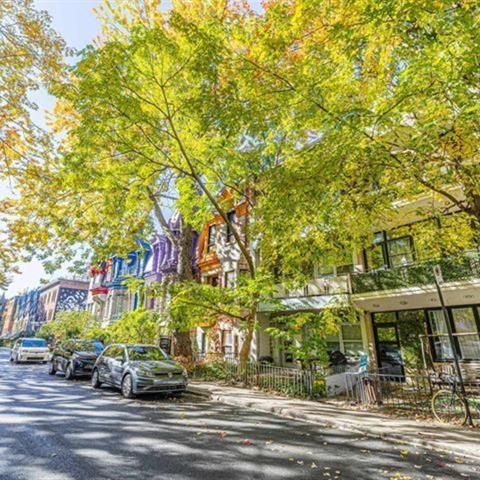 329 Rue du Square St Louis - Photo 1