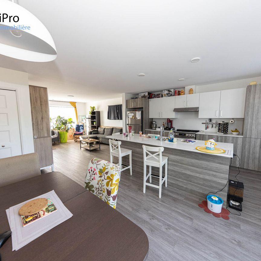 8627-8641 boul. St-Jacques - Photo 1