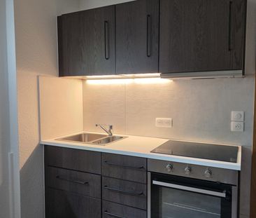 Location Appartement 1 pièce 29m² WISSEMBOURG 67160 - Photo 2