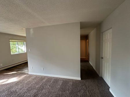 SPACIOUS 2 Bedroom APARTMENT!! GREAT LOCATION Downtown!!! - Photo 2