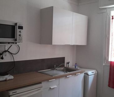 Location Appartement 1 pièce Meublé 11m² ANTONY 92160 - Photo 2