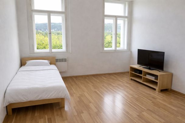 Pronájem bytu 1+kk 20 m² - Fotografie 1