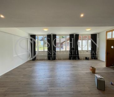 Loft | Frisch renovierte 2-Zimmer Loft-Wohnung - Foto 4