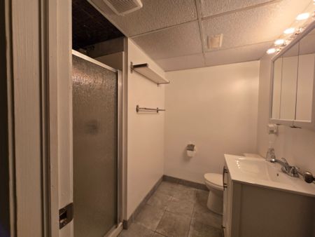 For Lease - 33 Dundas Crescent Unit# Lower Level, St. Catharines, Ontario - Photo 5