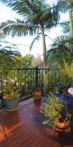 Modern and Spacious Rental Property in Cannonvale - Photo 1