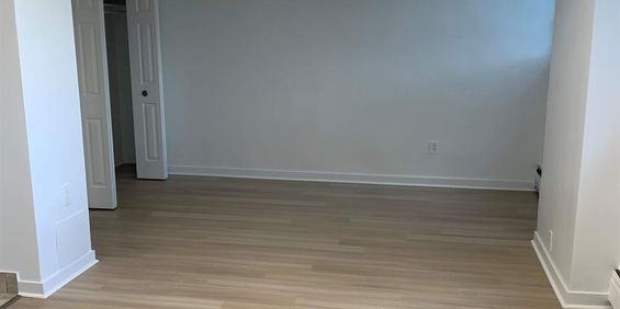 1 CH - 1 SDB - Montréal - $1,295 /mo - Photo 3