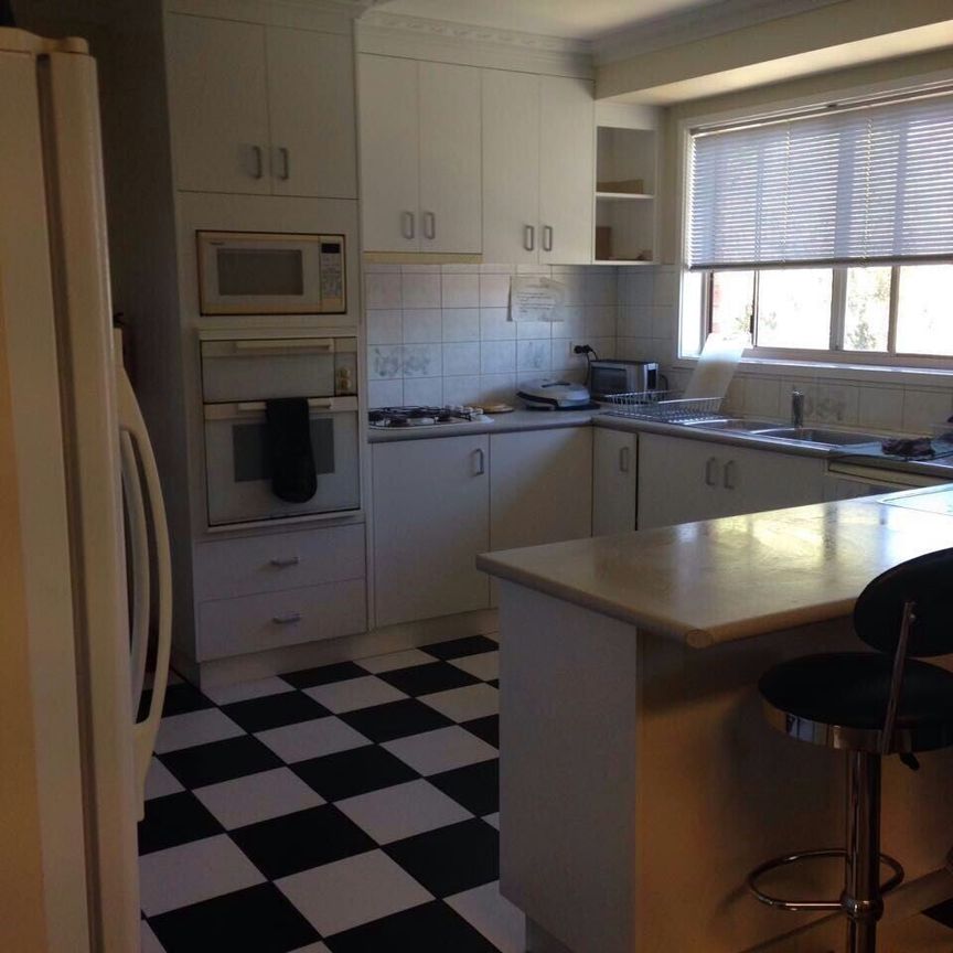 Flora Hill - Photo 1