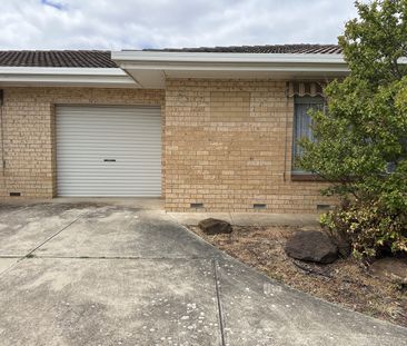 8/23 Arnold St, Underdale SA 5032 - House For Rent | Domain - Photo 5