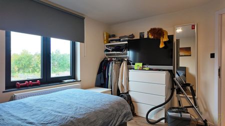 Gerenoveerde woning met zonnige tuin en zonnepanelen in Eeklo! - Photo 3