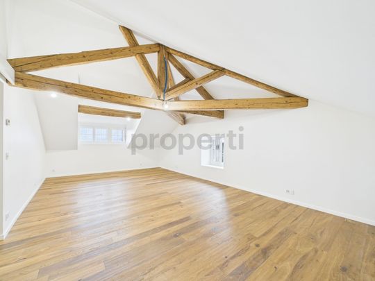 Magnifique Maison de Caractère rénovée au CSur du Village de Collex-Bossy Charm, comfort and Mont-Blanc view - Photo 1