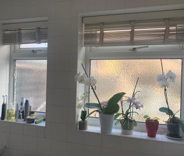 Queens Avenue - Photo 6