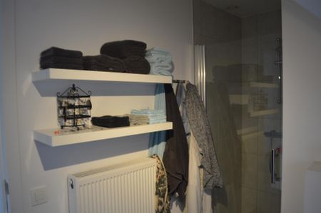 AALST - Kwalitatief Duplexappartement - Photo 4