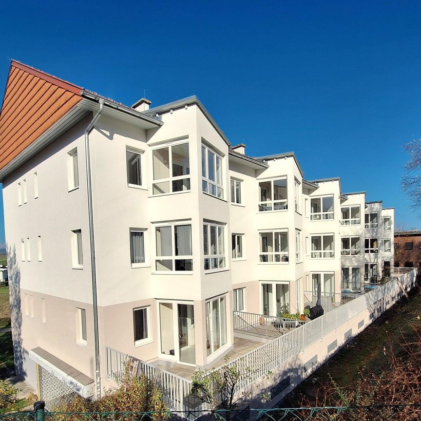 Eck-Terrassenwohnung mit Wintergarten - Photo 1