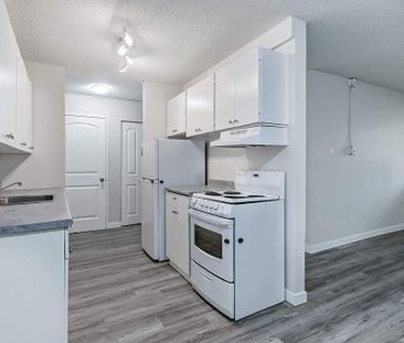 Renovated Suite - 2 Bedroom - Photo 3