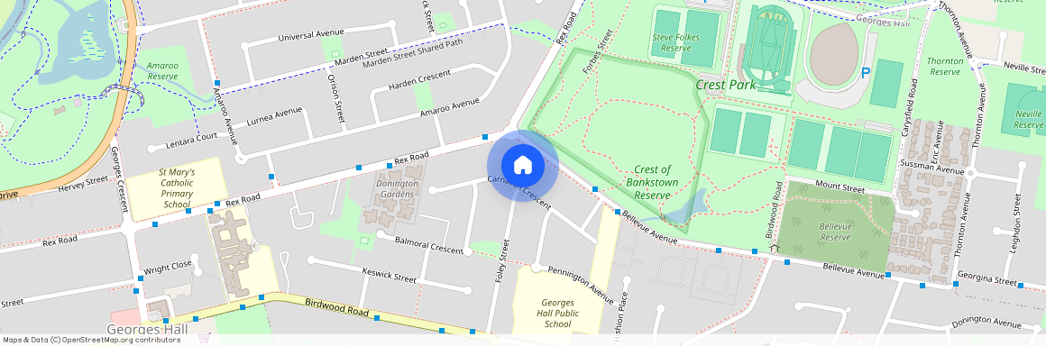 62 Carnavon Cres, NSW 2198, Georges Hall