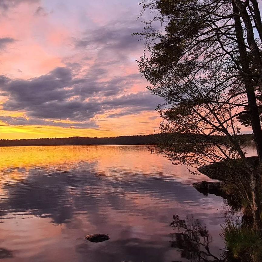 Oxelvägen, Älta - Photo 1