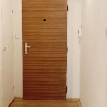 Pronájem bytu 1+kk, 30 m - Fotografie 4