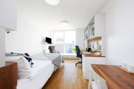 Premium Studio - Photo 3