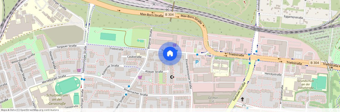 Triebstrasse 8, 80993 München - Moosach