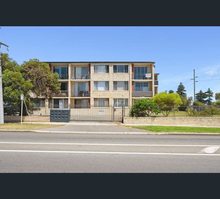 15/1 Douro Road, South Fremantle, WA 6162 - Photo 4