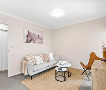 Hidden surprise in Whau Valley - Photo 2