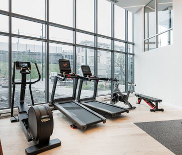 100 Rue Murray, #808 - Photo 4