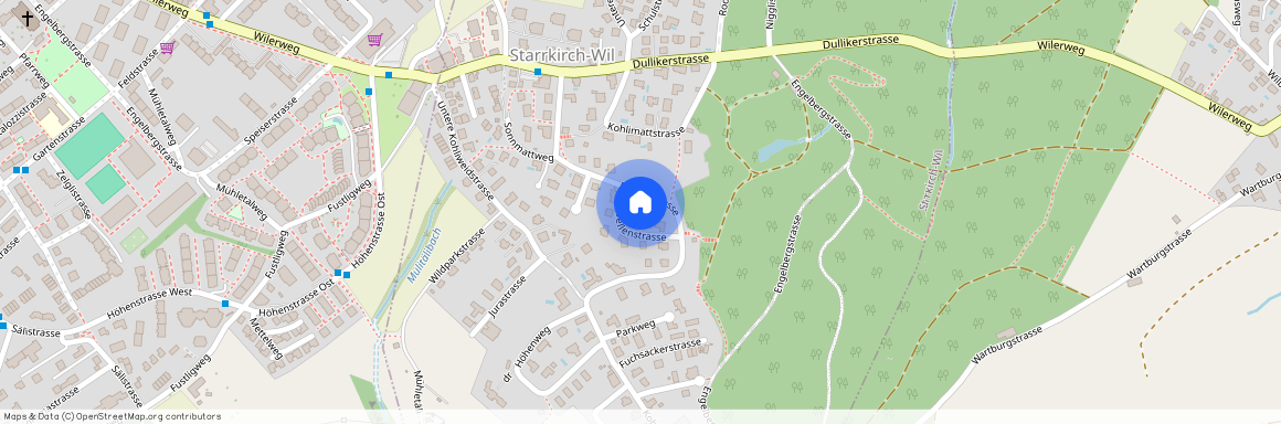 4656 Starrkirch-Wil