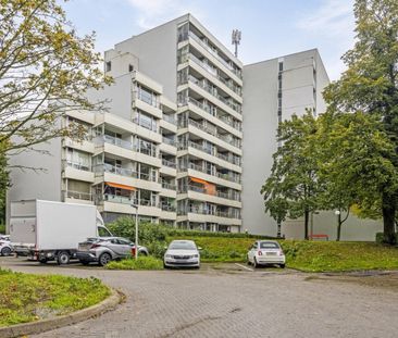 Douvenrade 24 - Photo 4