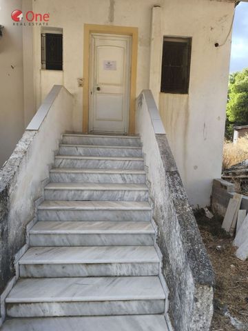 Studio/Γκαρσονιέρα για ενοικίαση Μαρκόπουλο - Photo 3