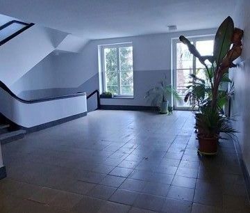 1 Zimmer Wohnung in ruhiger Lage und im Grünen! - Photo 4