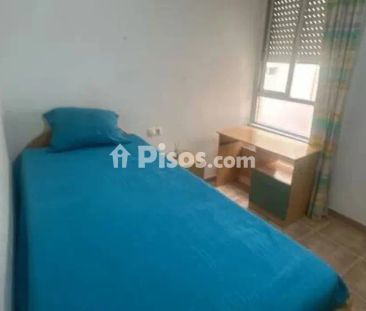 Piso en alquiler en Daya Nueva - Foto 5