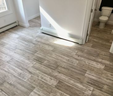 For Lease - 163 Welland Avenue Unit# Rear Unit, St. Catharines, Ont... - Photo 5