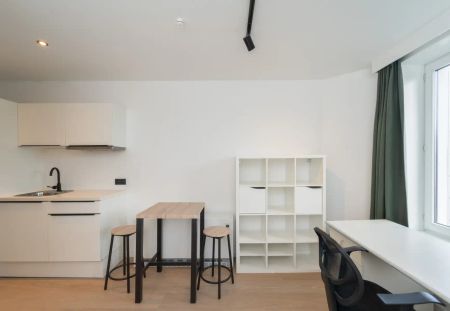 Gerenoveerde studio op zeer centrale ligging in hartje Gent - Foto 5