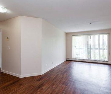 Chelsea Park Apartments - Photo 5