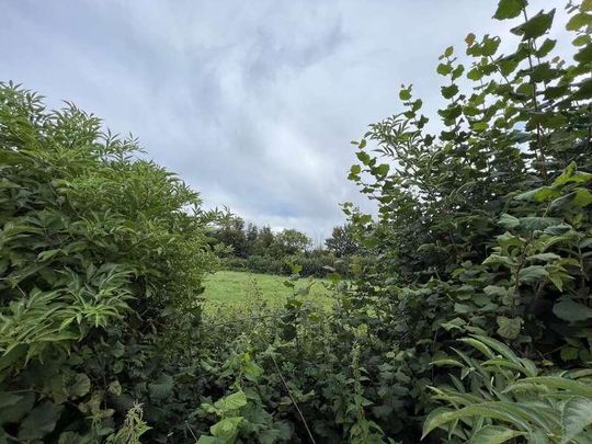 Iron Mill Lane, Oldford, Frome, BA11 - Photo 1