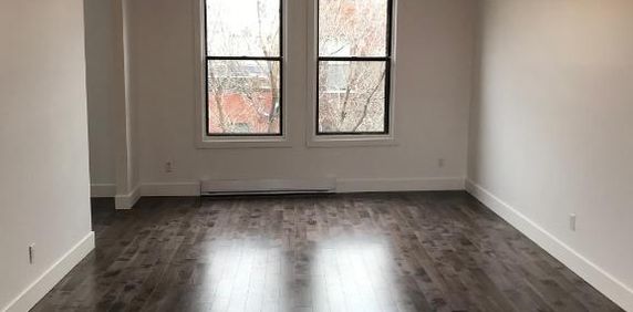 À VOIR grand 5 1/2 rénové appartement près métro Charlevois - Photo 2