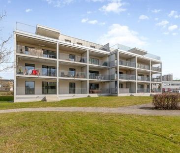 On se sent tout simplement chez soi dans le parc Mooswies - Foto 4