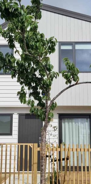 Brand New Home - Photo 1