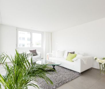 Rein ins neue Wohnglück! Grosse 4.5 Zimmer-Wohnung mit Sitzplatz - Photo 3