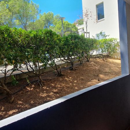 Location Appartement 1 pièce 20m² MONTPELLIER 34090 - Photo 3