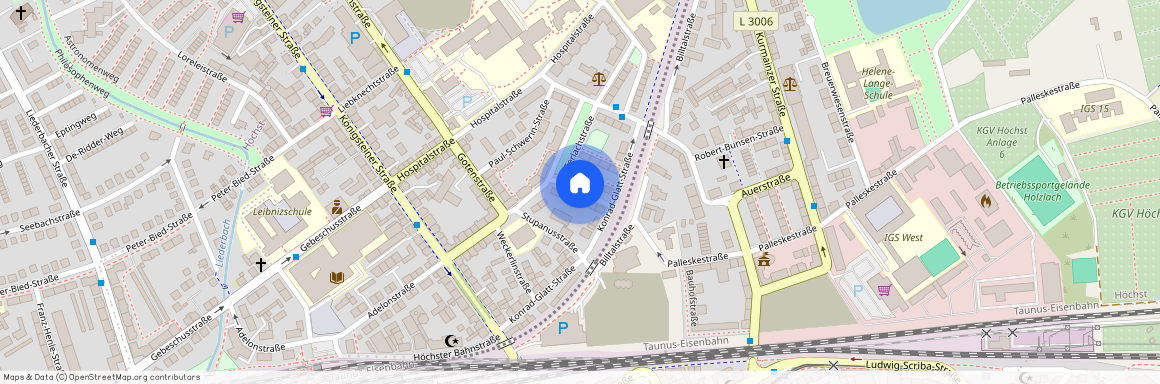 Thiotmannstr, 65929 West - Höchst