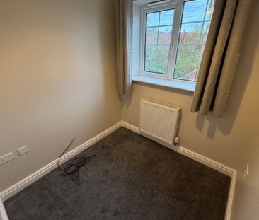 Mouse Lane - Photo 3