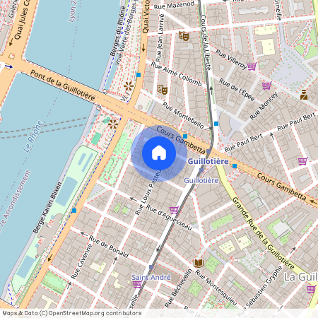 6 RUE PASTEUR, LYON 7EME ARRONDISSEMENT Pasteur