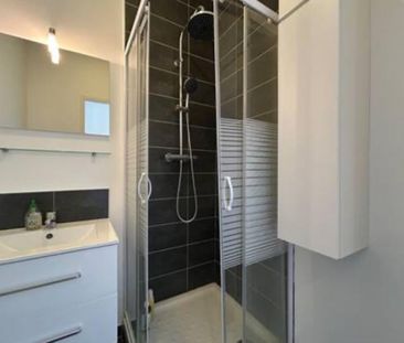 Location Appartement 2 pièces Meublé 28m² LYON 8ème - Photo 6