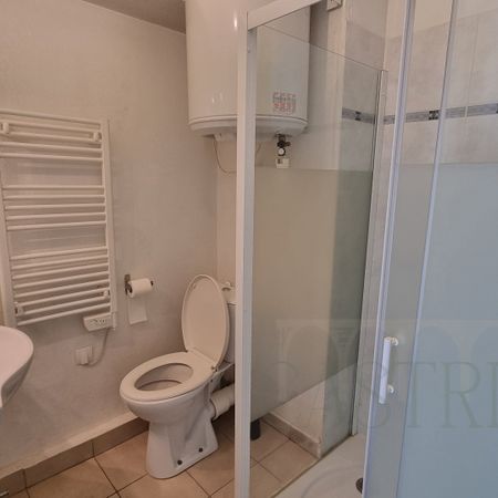 Location Appartement 1 pièce 17m² CASTELNAU LE LEZ 34170 - Photo 4