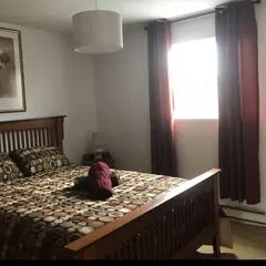 Studio/Loft · 69 m² · Gatineau - Photo 1