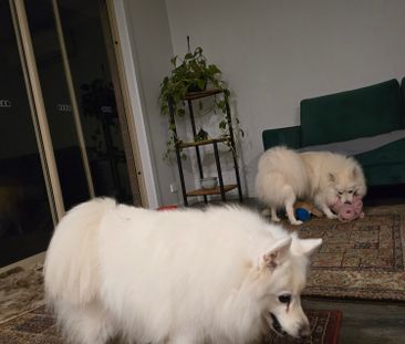 Andrews Farm - Photo 2